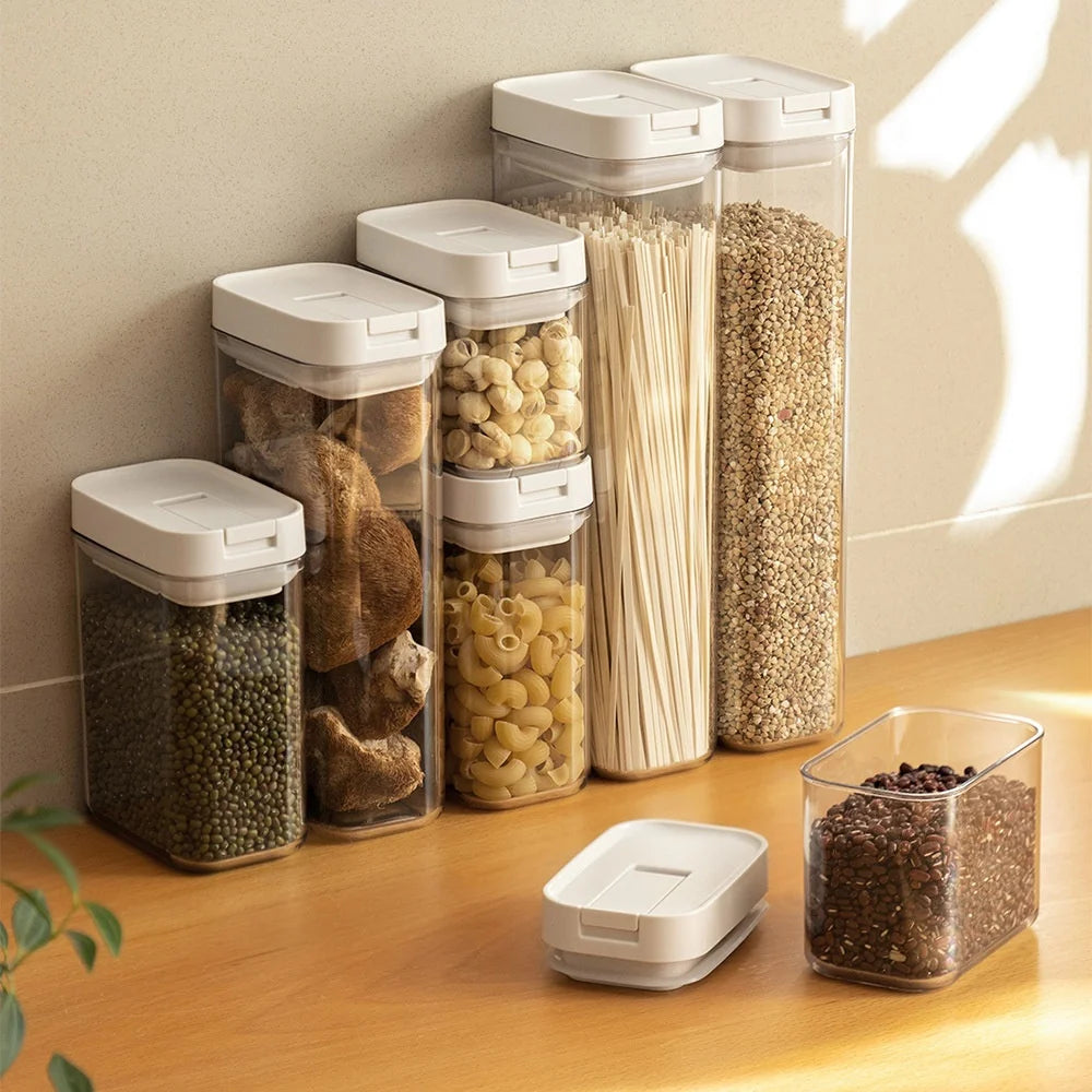 Transparent Food Storage Container